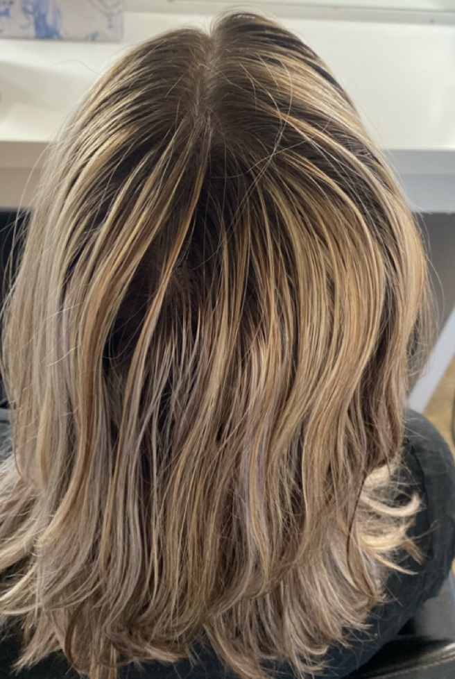 Before — Organic hair transformation by Jax Organic Hair Perth