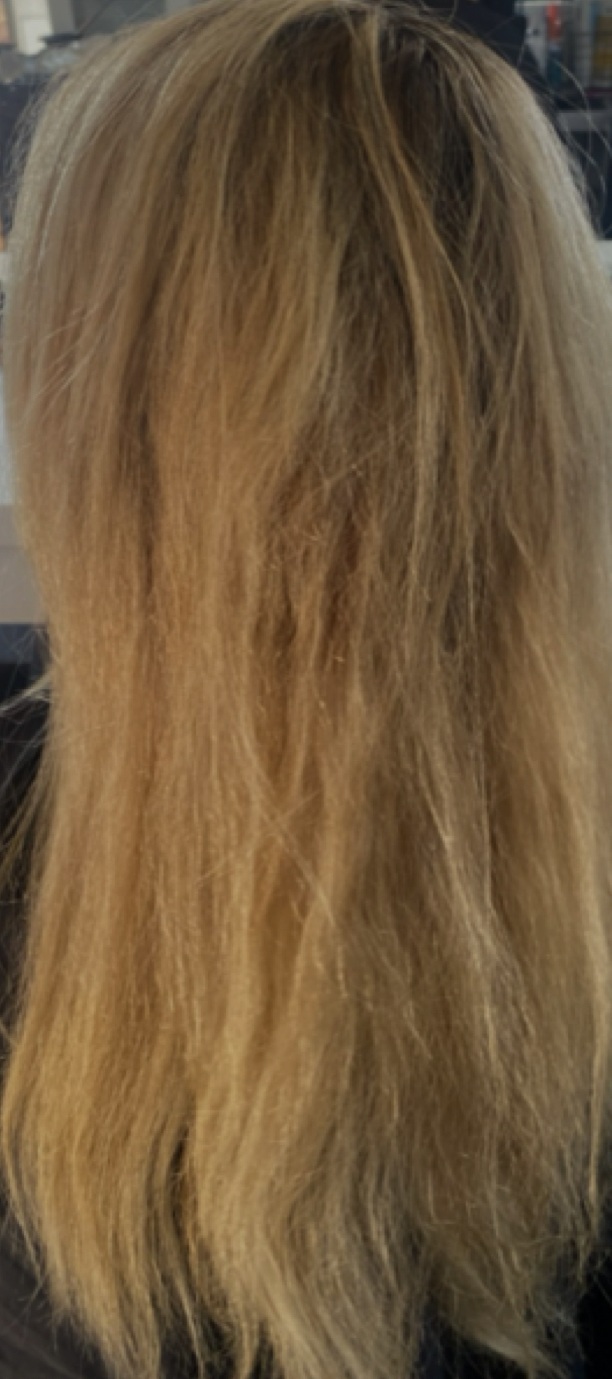 Before — Organic balayage transformation at Jax Organic Hair Perth